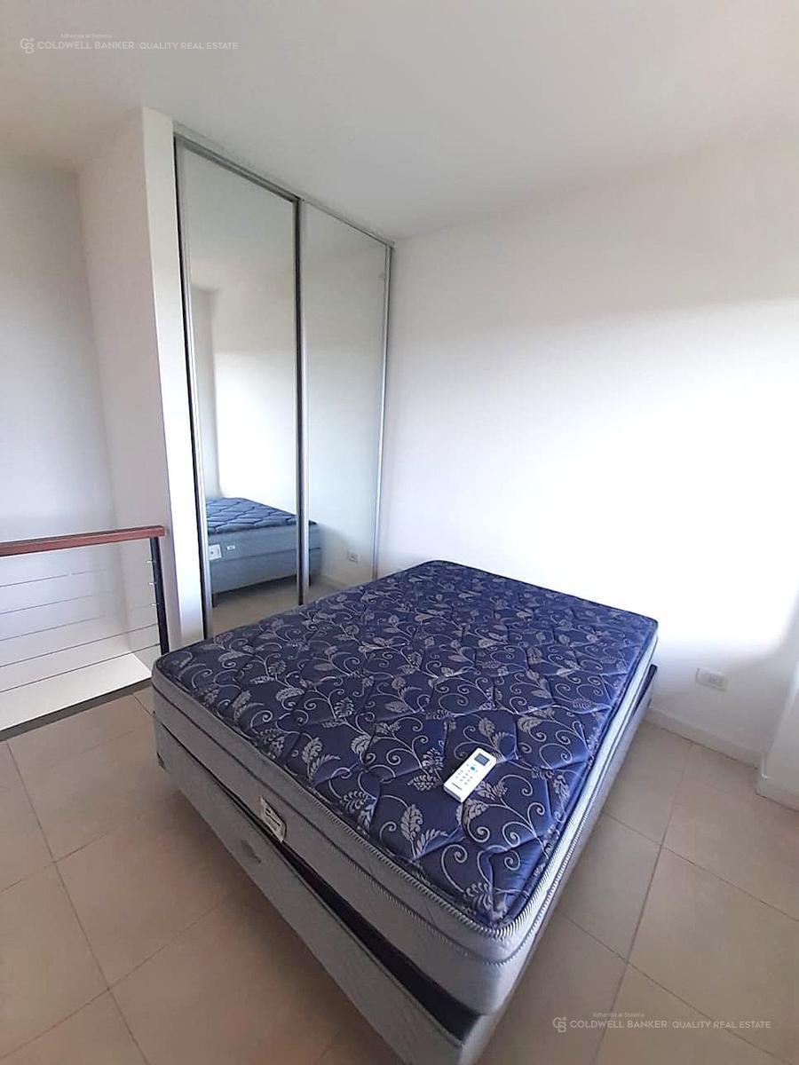 PLACARD SUITE