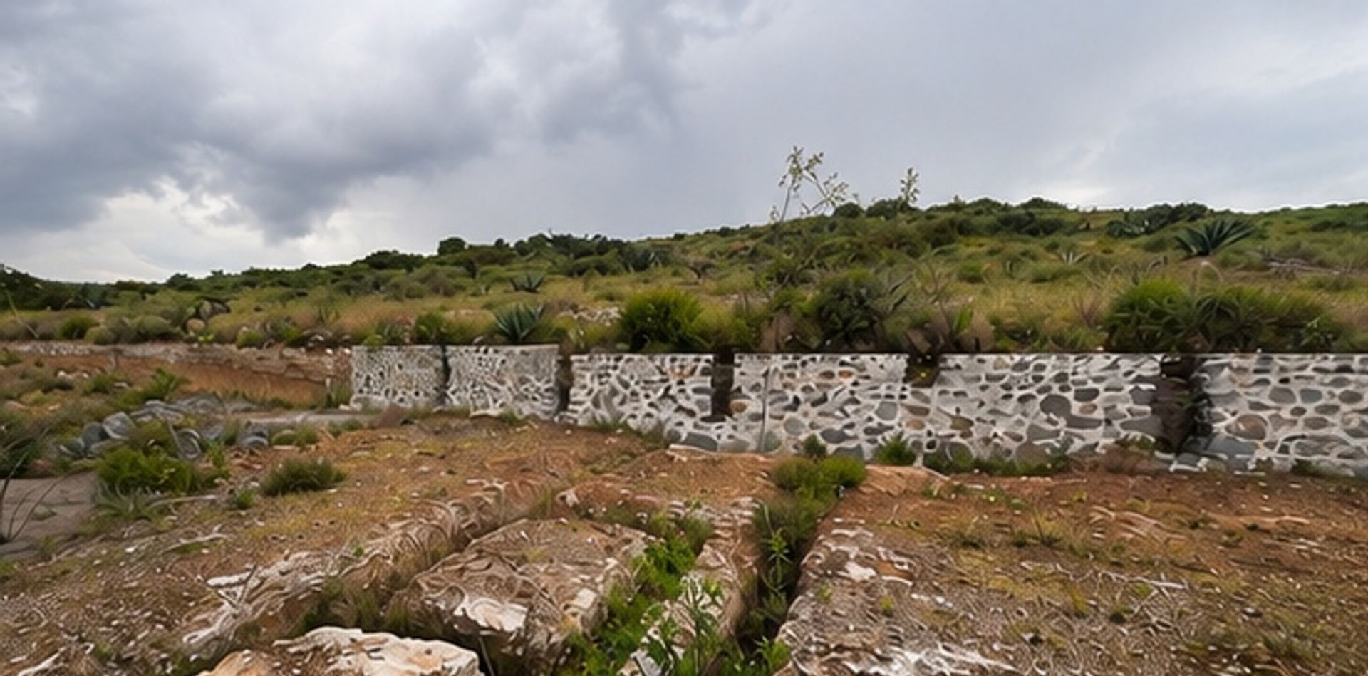terreno_corregido_01.jpg