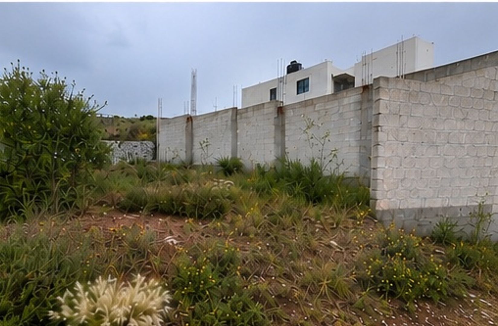 fotografia_6.jpg