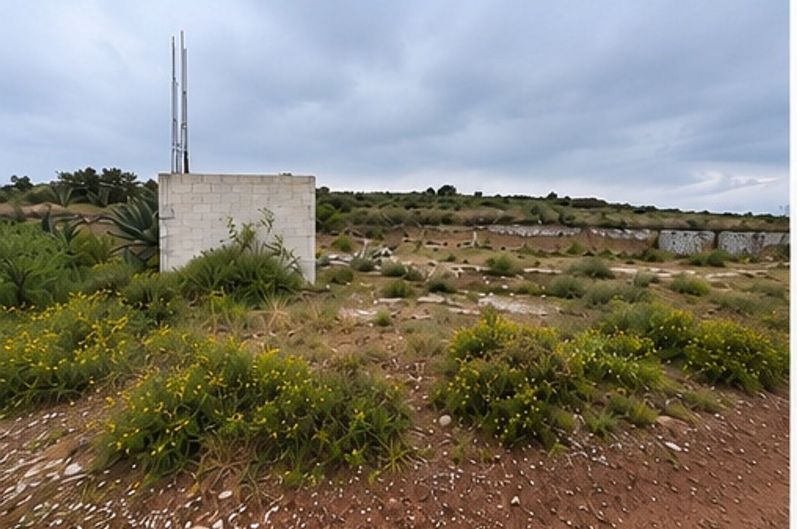 fotografia_1.jpg