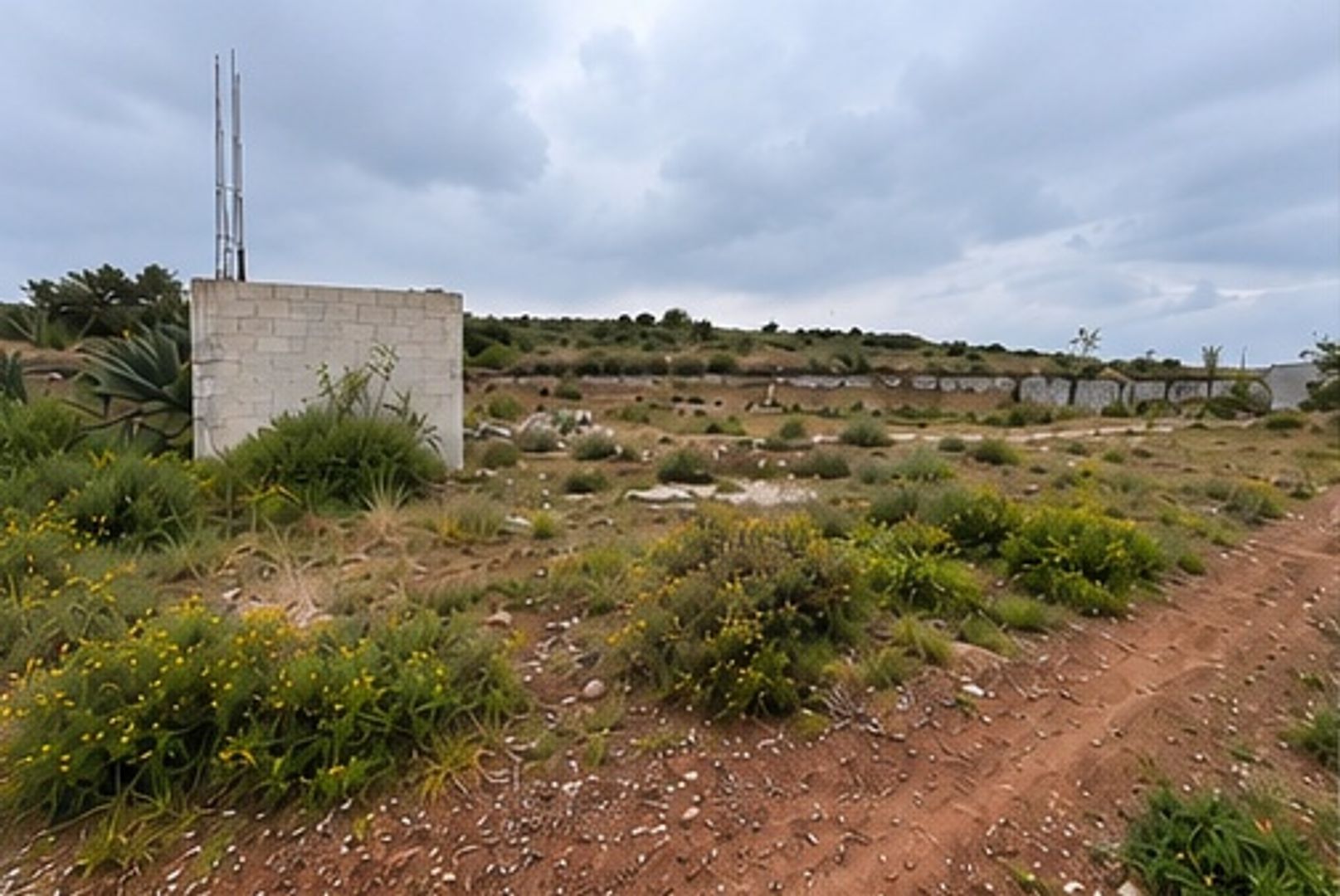 fotografia_2.jpg