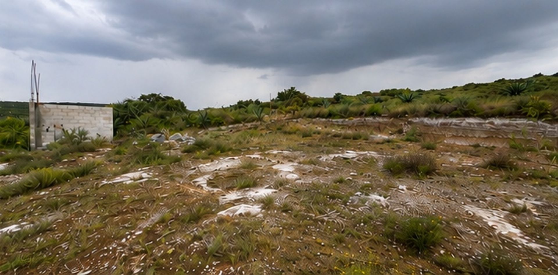 terreno_corregido_06.jpg