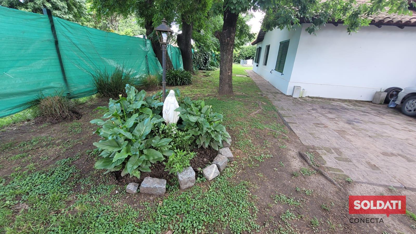 image 31