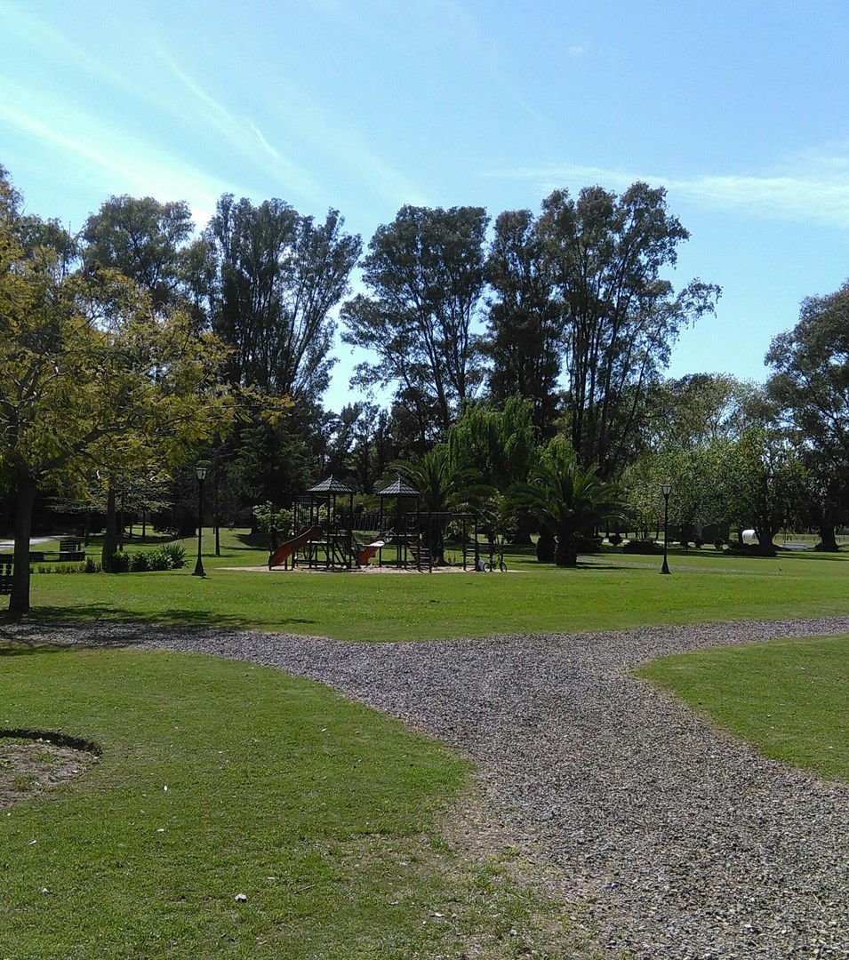 image 29