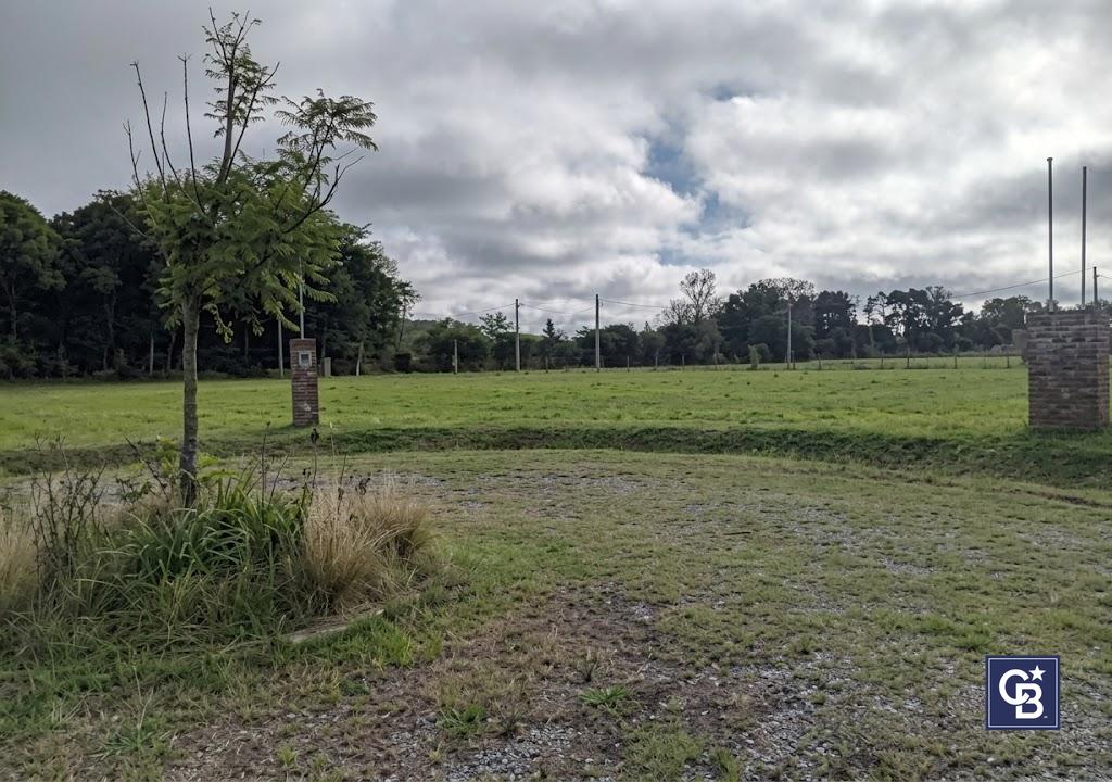 image 14