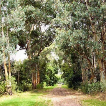 Venta de Terreno - El Ensueño, Balneario Santa Ana  Lote 8 MH