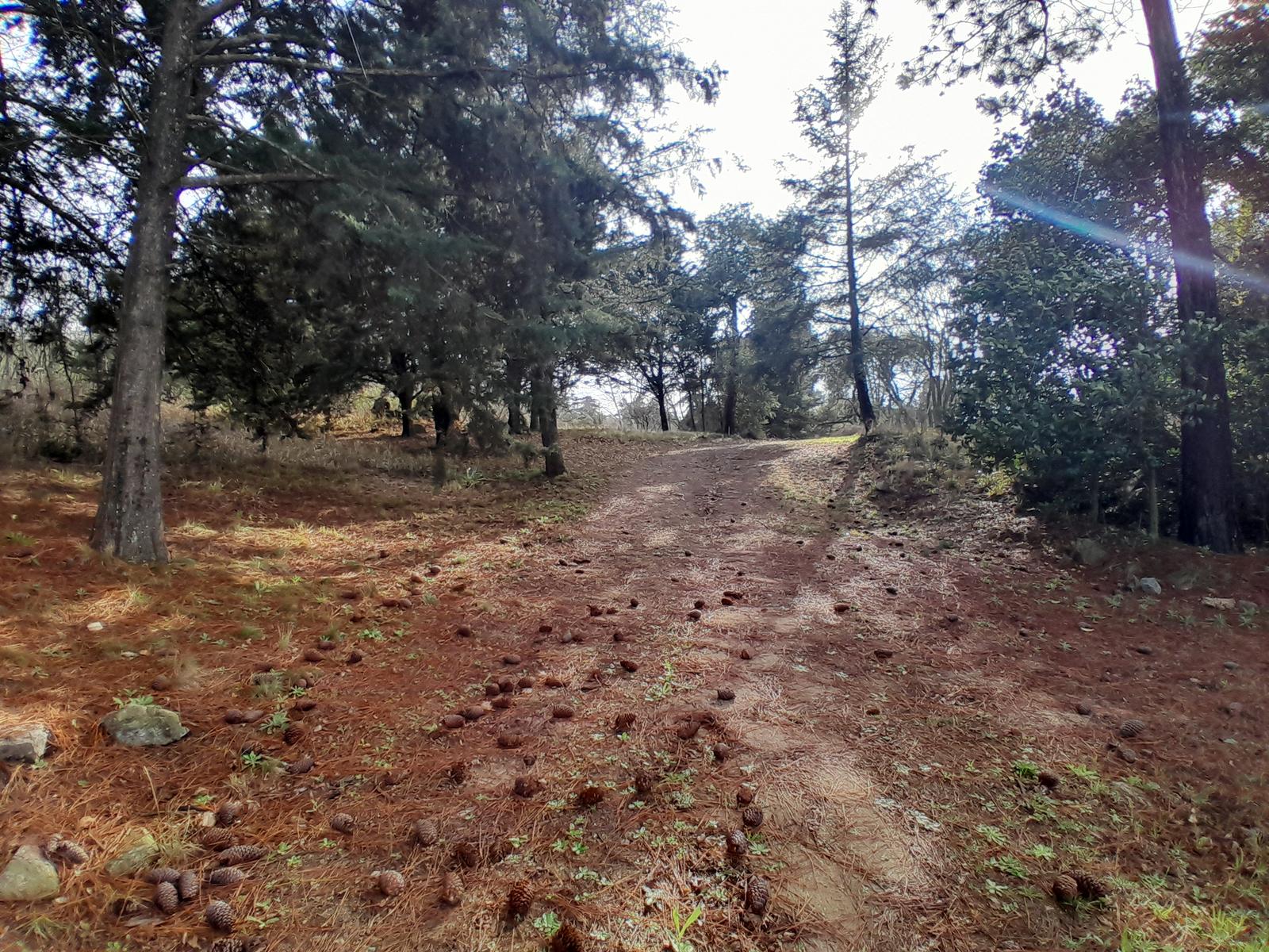 image 14