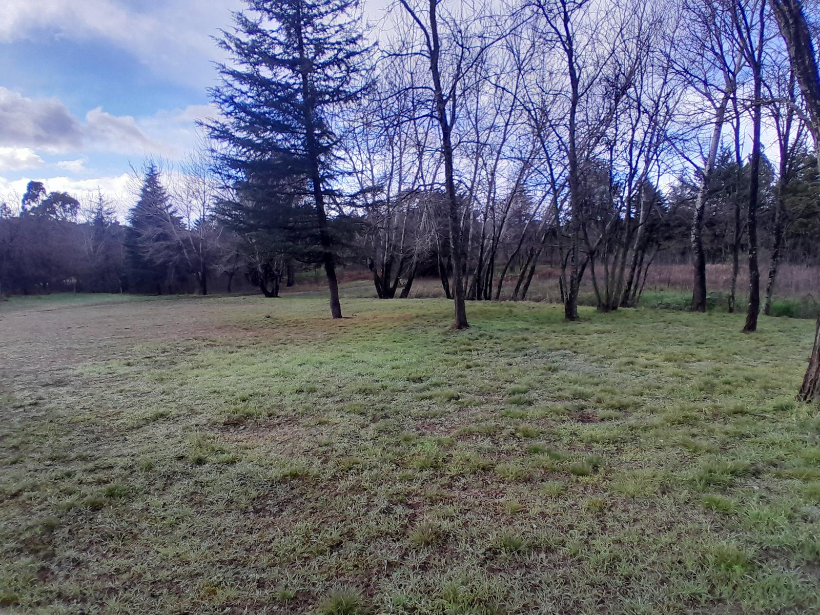 image 51