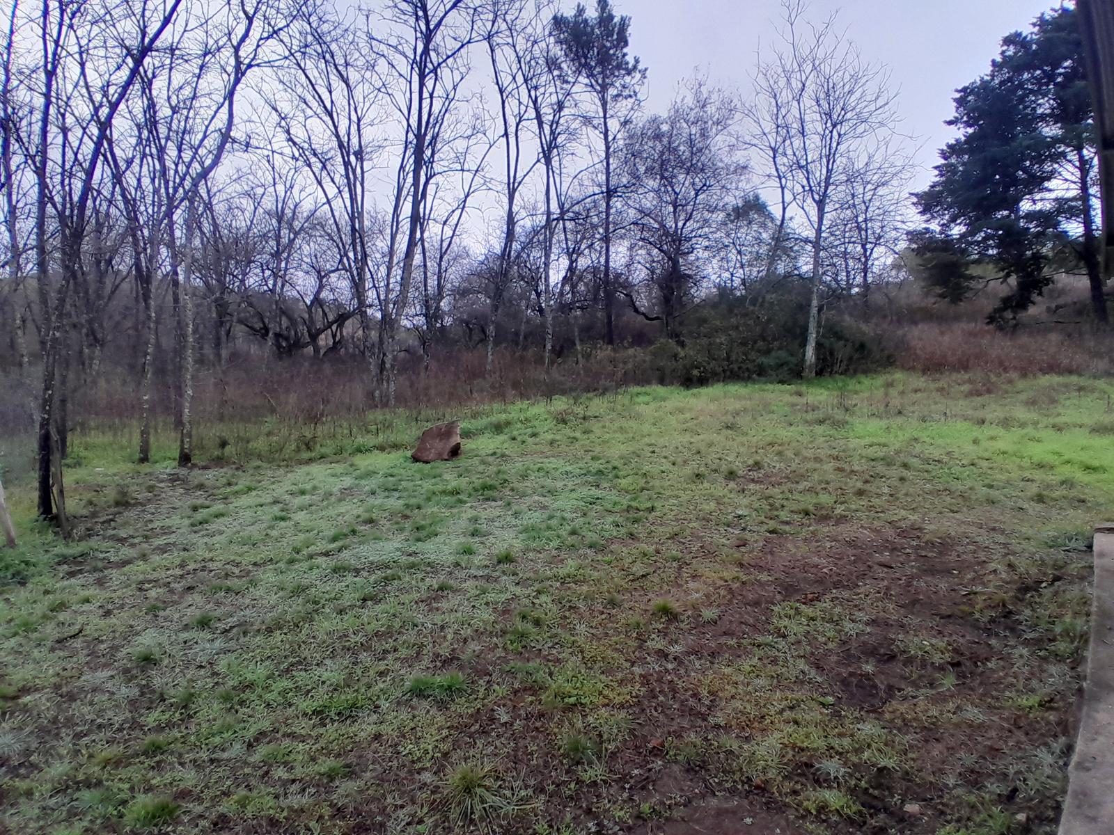 image 53
