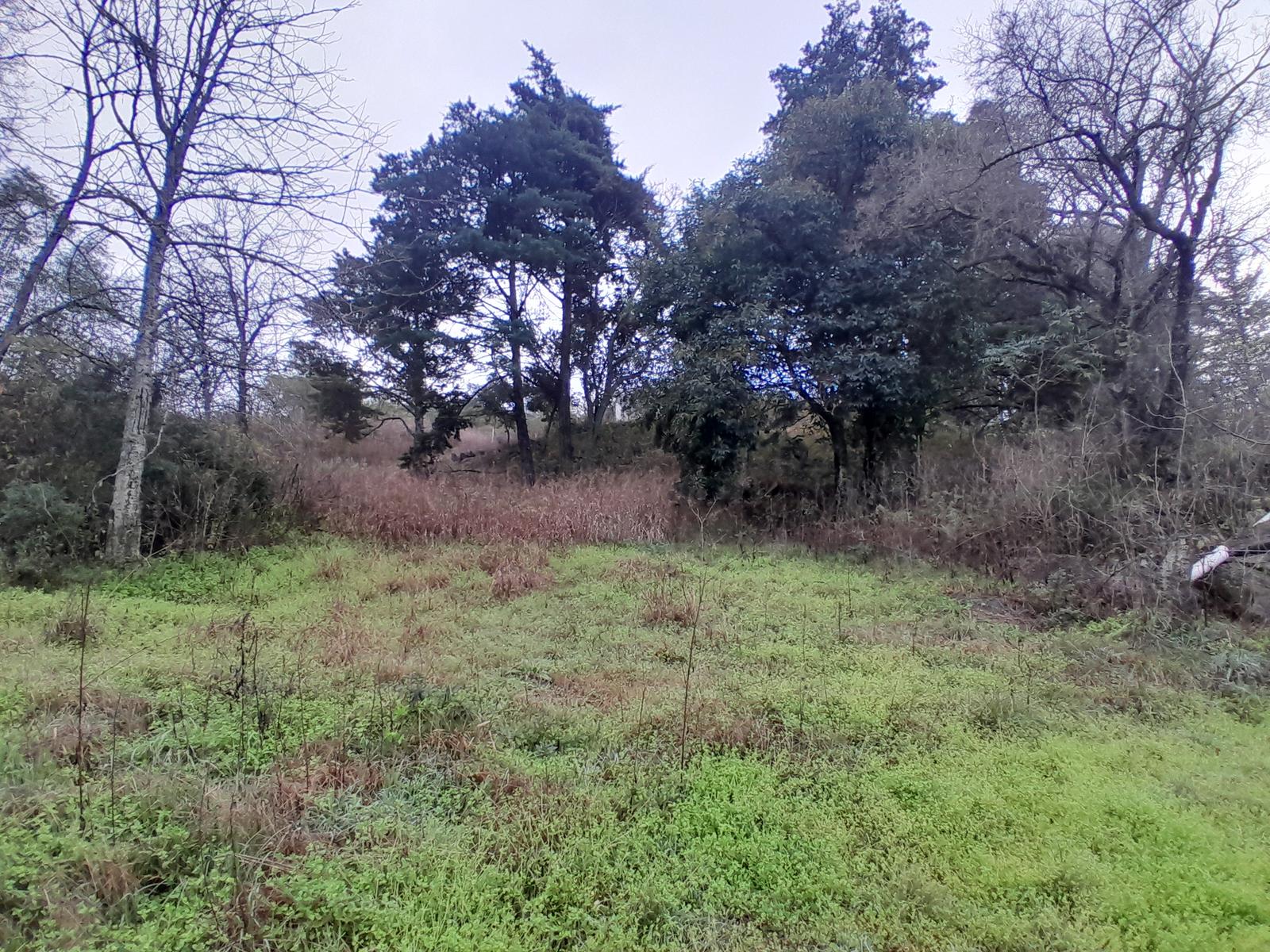 image 55
