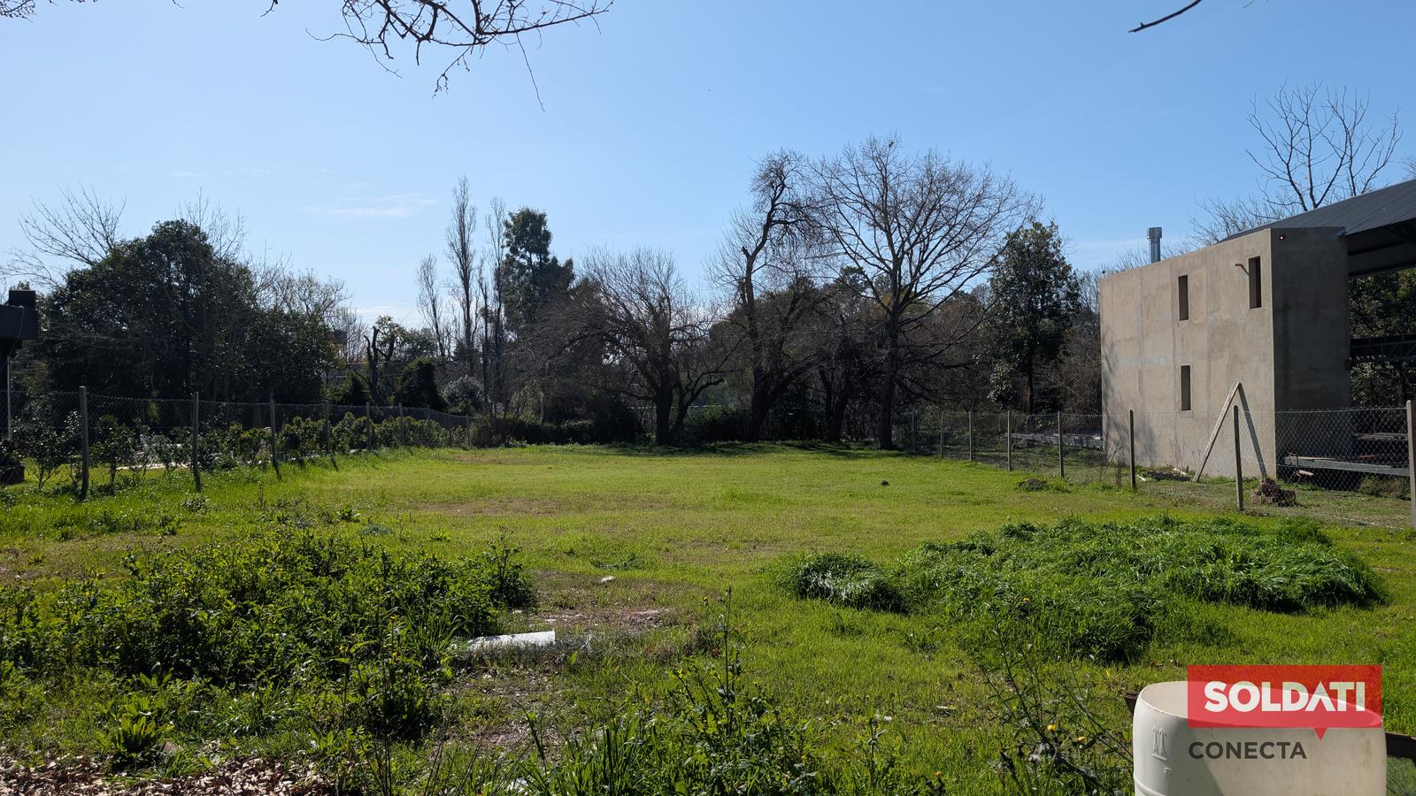 image 14