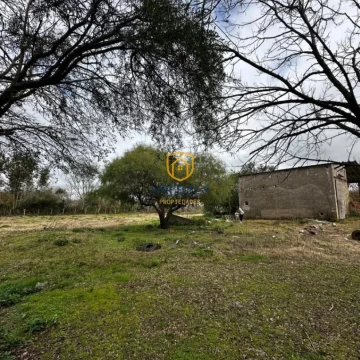 Terreno en venta en San Ramón con 7000 m2