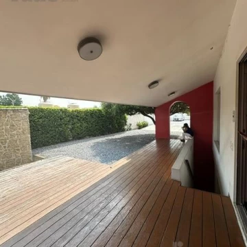 1787249843.jpg