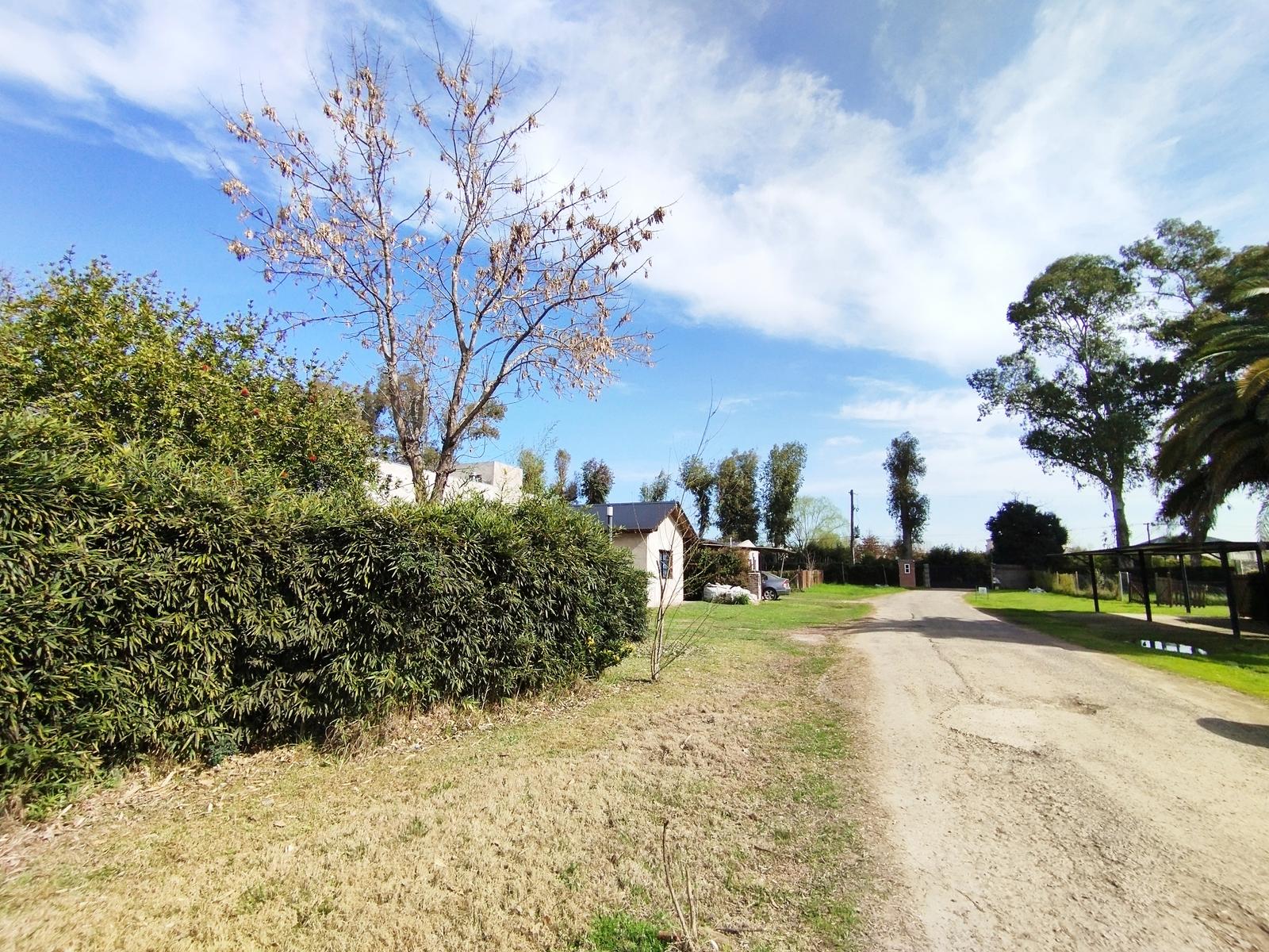 image 36