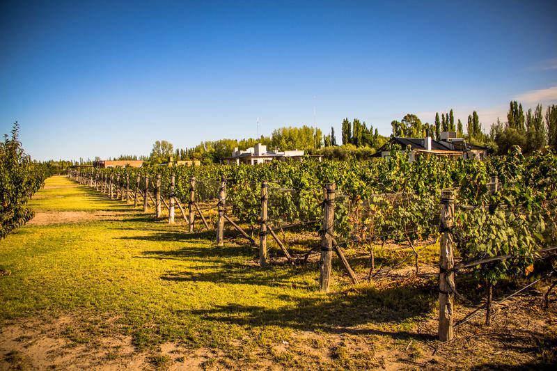 Lotes san rafael