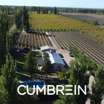 Finca de Ciruelos y Viñedo Boutique | Residencia de Campo en Cuadro Benegas