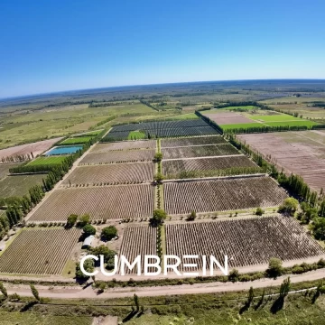 Extraordinaria finca de 83 Ha. de viñedos, durazno y alfalfa