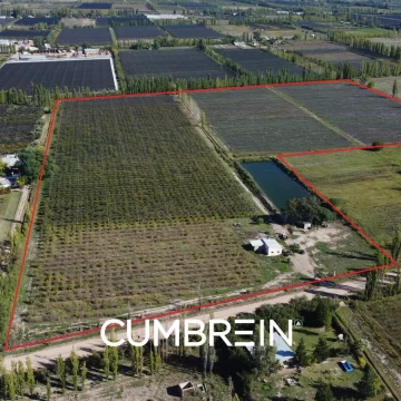 Finca de 11 Ha con Reservorio y Ciruelos D'Agen | Cuadro Benegas - San Rafael