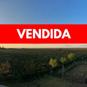 Finca de 8 Ha. en El Usillal
