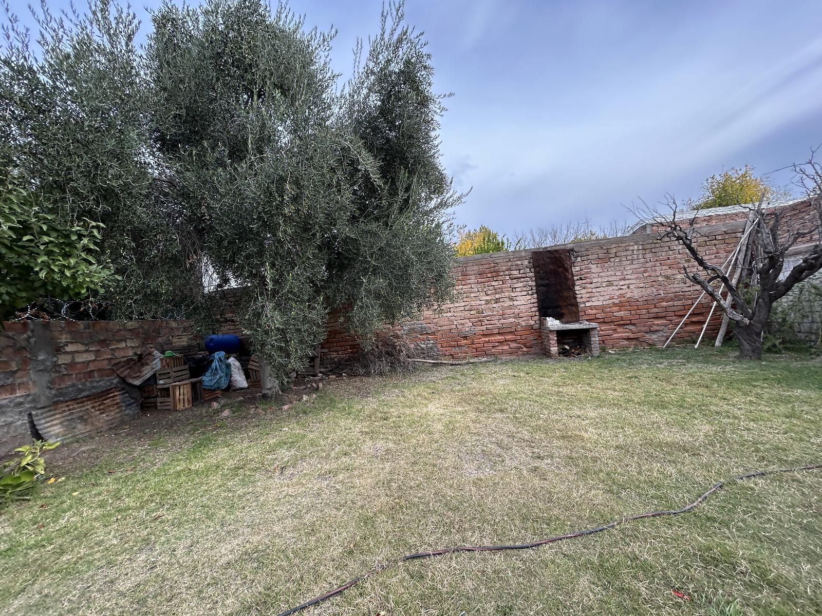 image 14