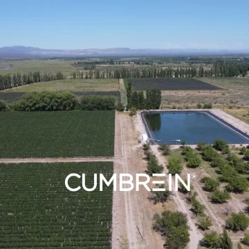 Finca Vitivinícola en Producción | 50 Ha | Escala Industrial | Seguridad Hídrica | San Rafael