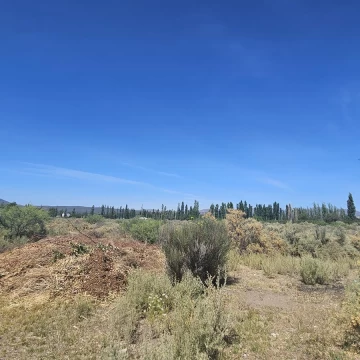 Terreno de 1 Ha en Rama Caída, calle La Bodega