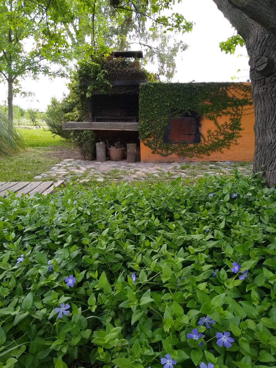 image 24