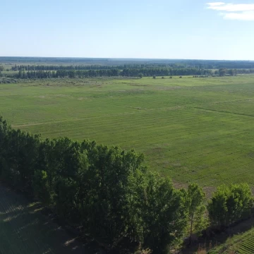 Propiedad rural de 500 hectáreas en venta en Goudge