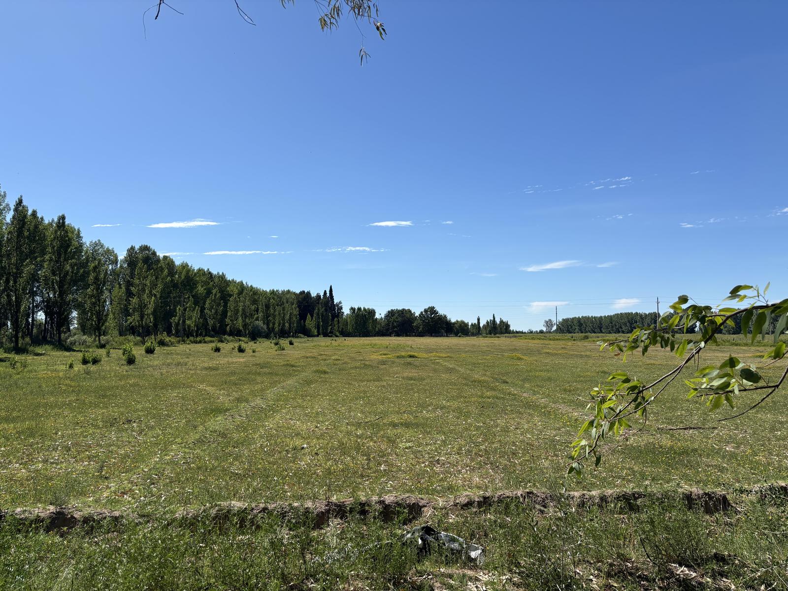 image 25