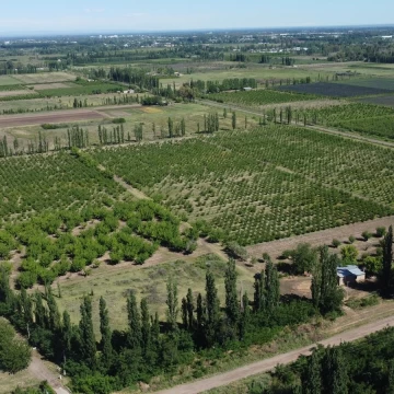 Finca productiva de 12 hectáreas – Prolongación Ruta 165