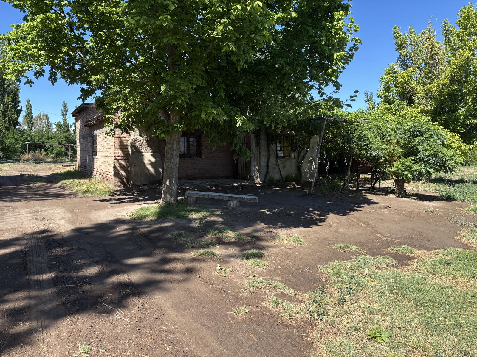 image 14