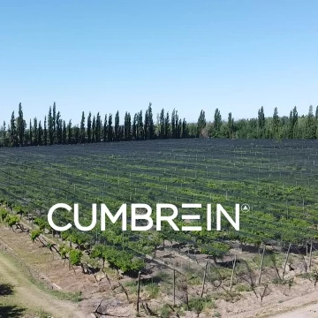 Finca Productiva y Viñedos en San Rafael | 48 Ha | Seguridad Hídrica y Pozo Propio