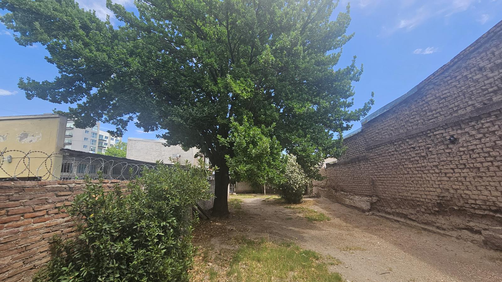 image 13