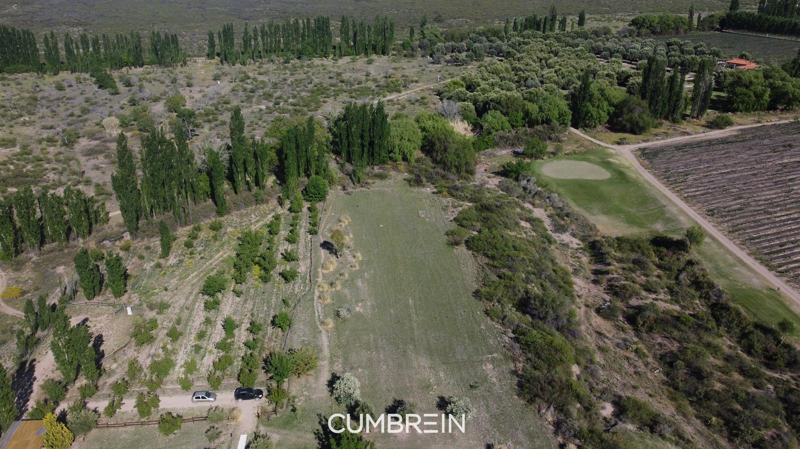 Lote en venta Golf  Algodon Wine Estates