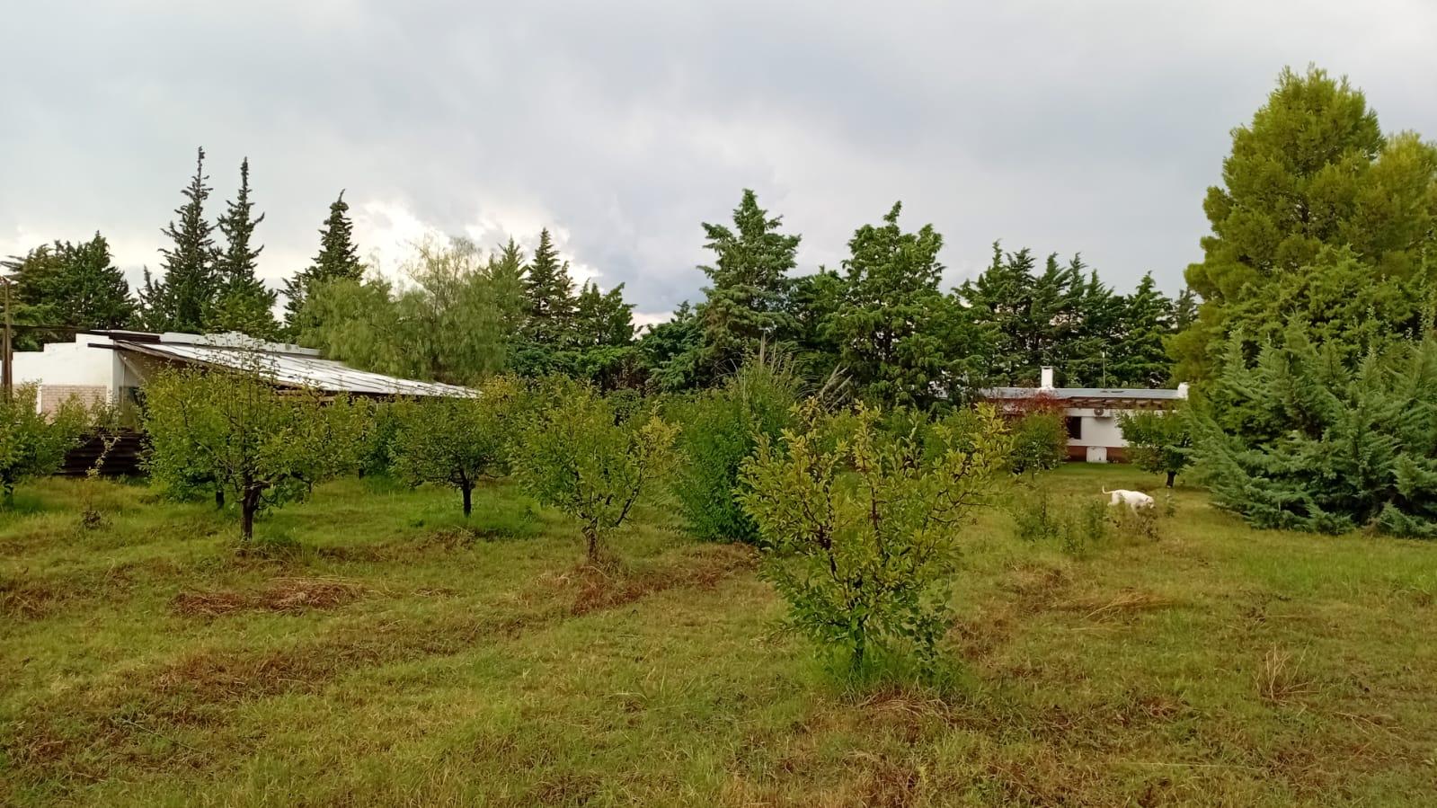 image 34