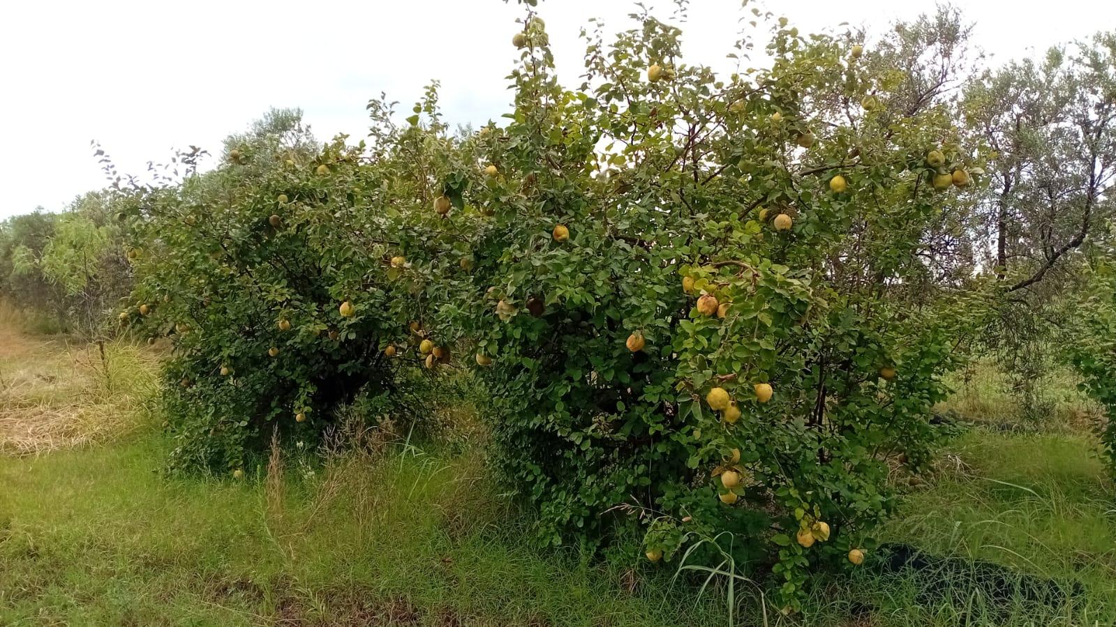 image 56