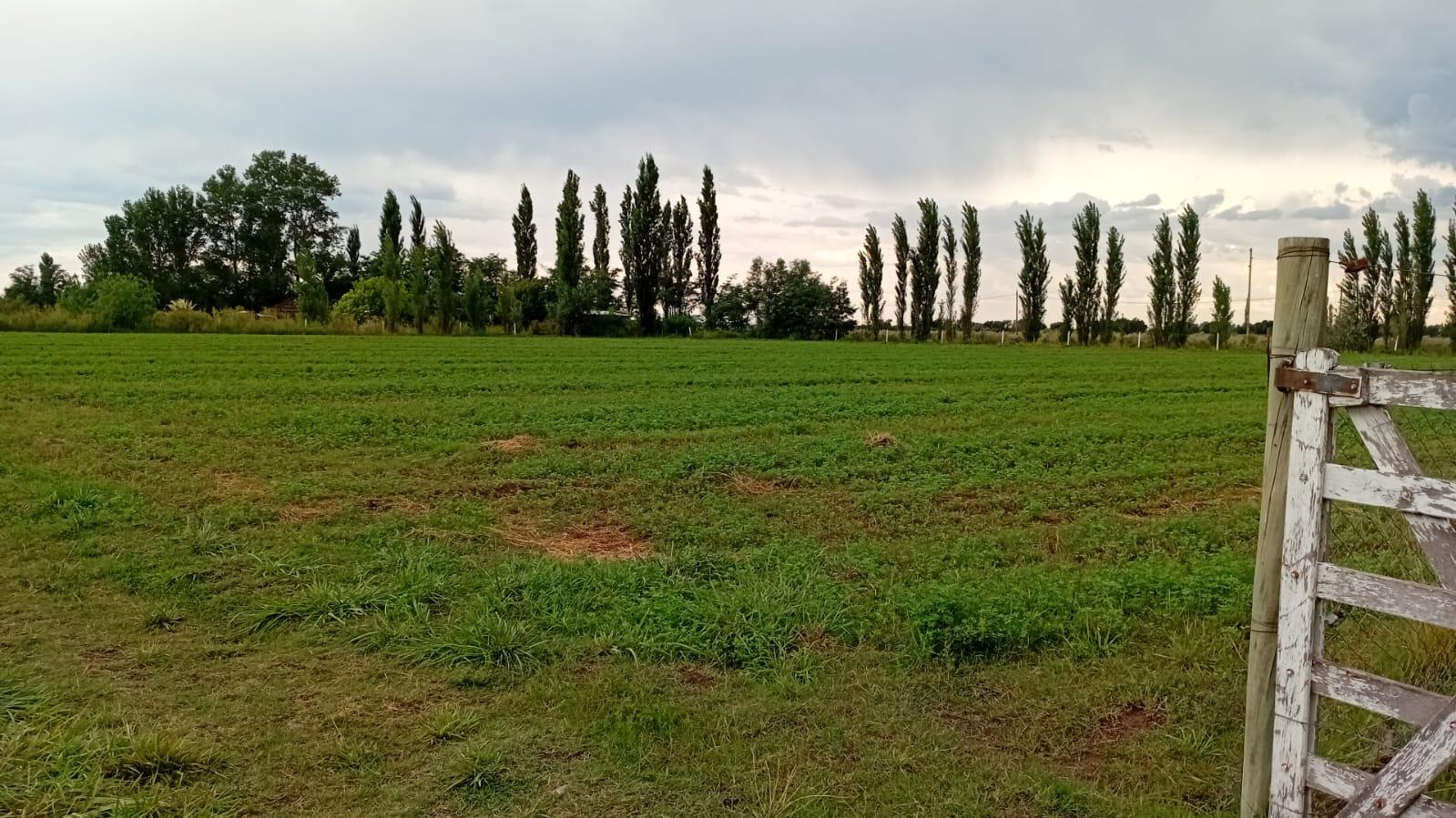 image 106