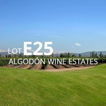 Lote E-25 en Algodon Wine Estates |  4730.26 m² | Golf