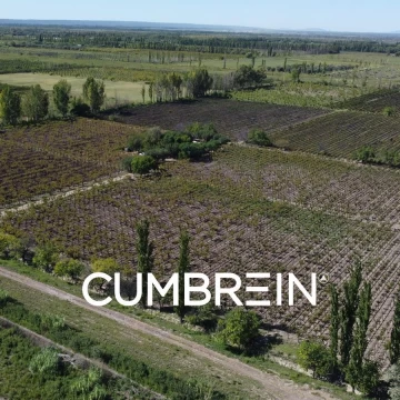 Finca Las Arabias – 11 hectáreas de viñedos en Los Claveles, San Rafael
