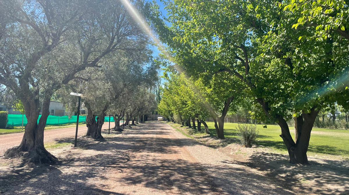 terreno venta complejo viñas