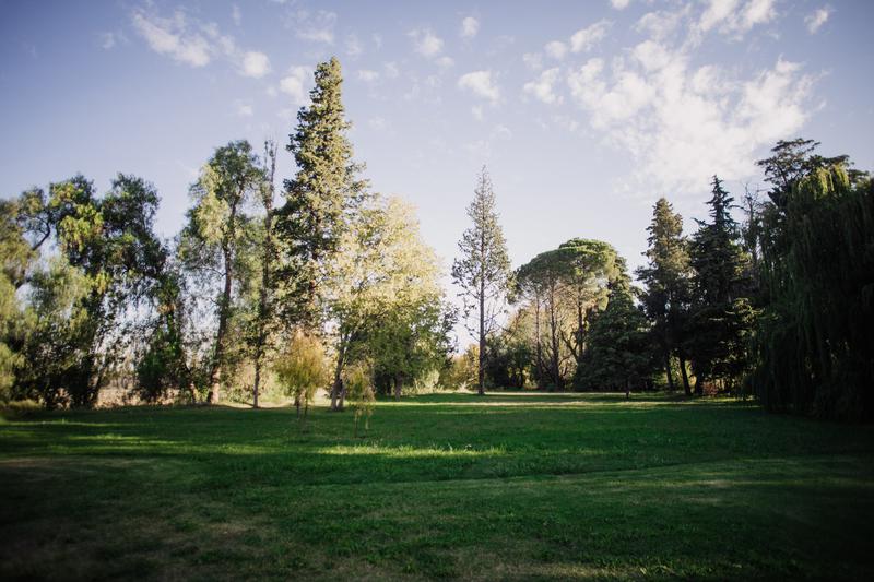 image 29