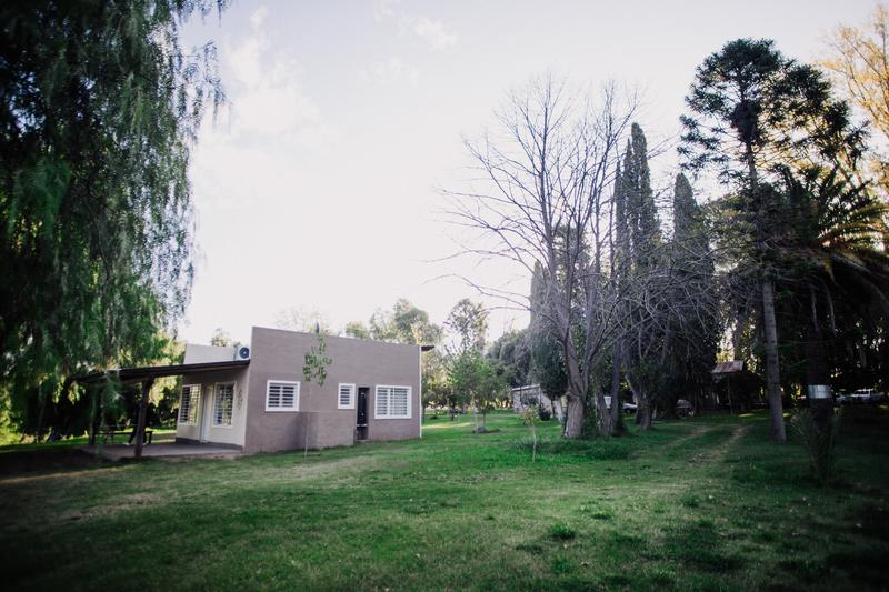 image 40