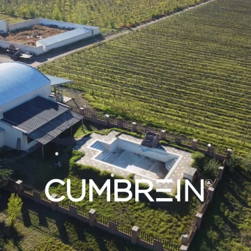 Bodega de Exportación Premiada Internacionalmente y Viñedos de Alta Gama en San Rafael | Cumbrein