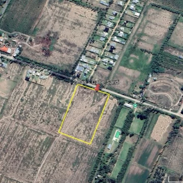 Terreno de 2 has en El Cerrito - Calle Sardi - San Rafael, Mendoza