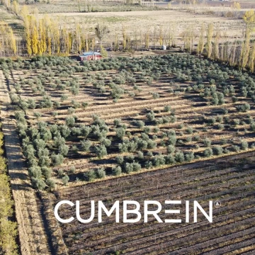 Finca de 18 hectáreas en Las Paredes - San Rafael