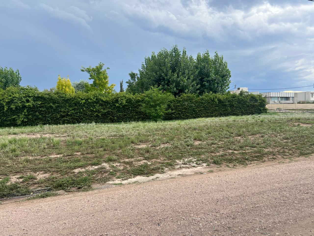 image 14