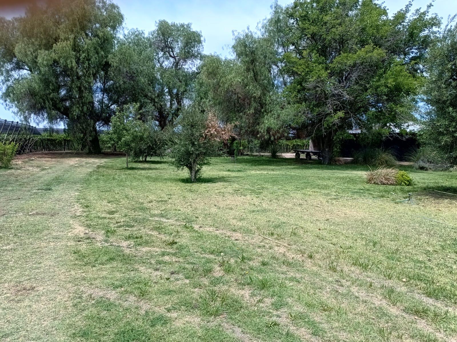 image 29