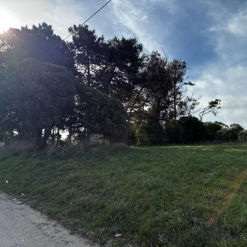 Lote en Playa Los Lobos de 360 m2