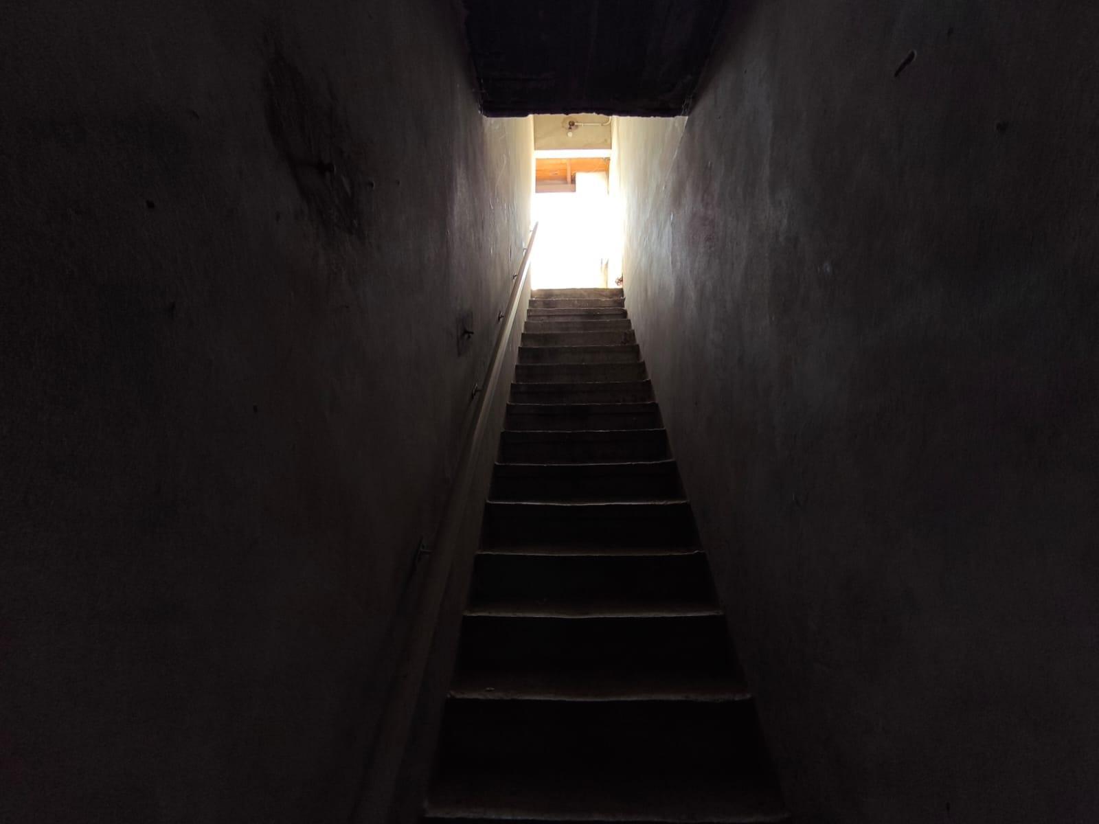 image 33