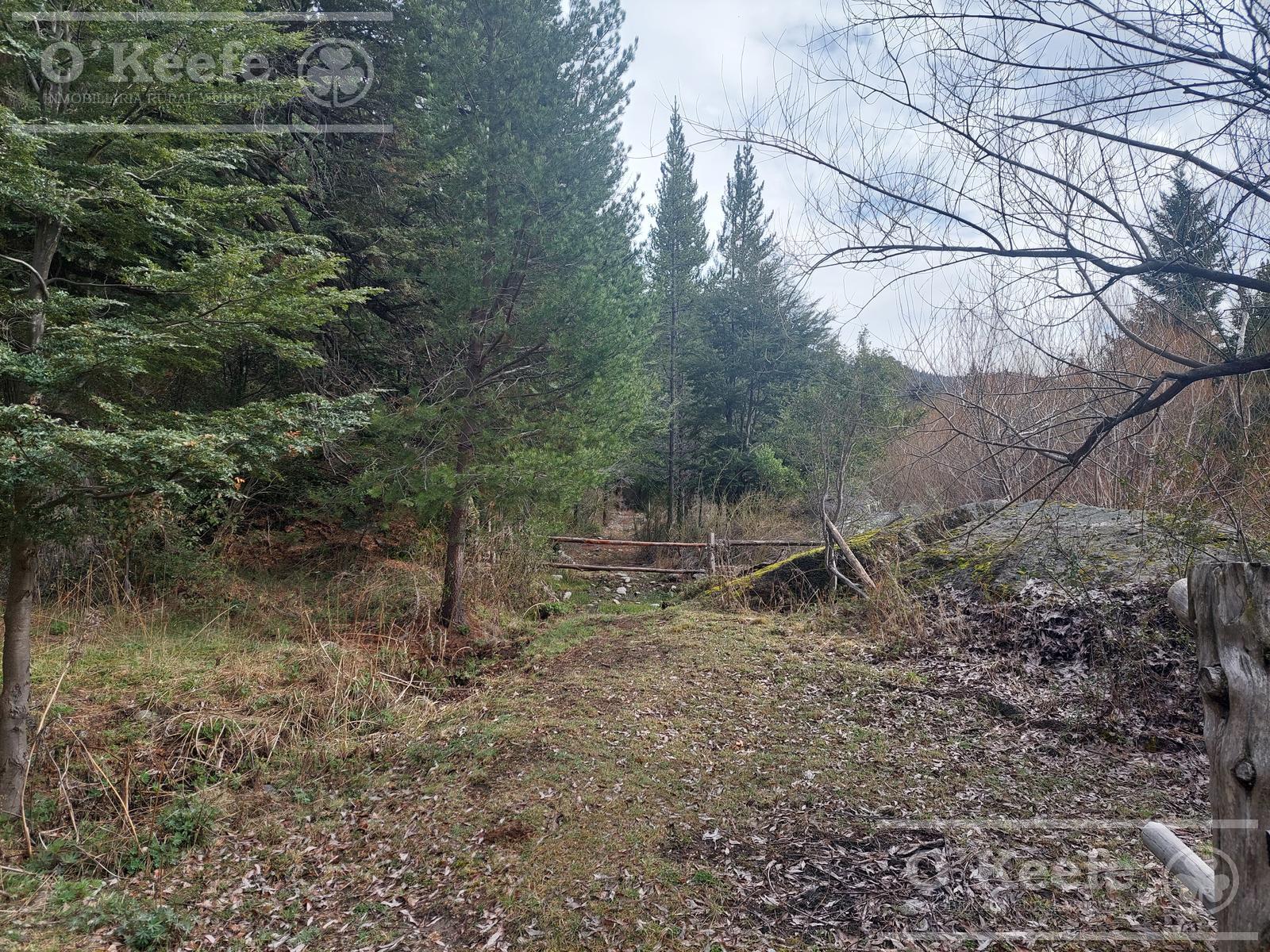 image 38